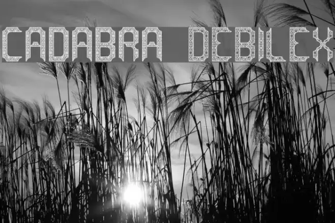 cadabra DEBILEX Font examples