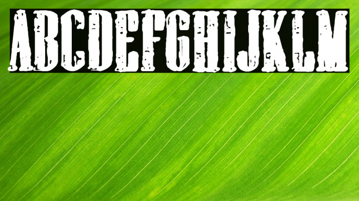 cadalso 74 Example 1