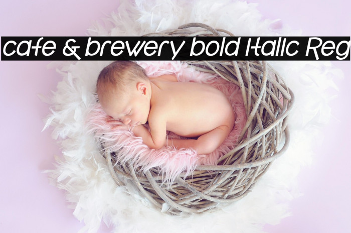 cafe & brewery bold italic Reg Example 1
