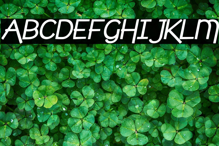 cafebrewerybolditalic-Regular Example 2