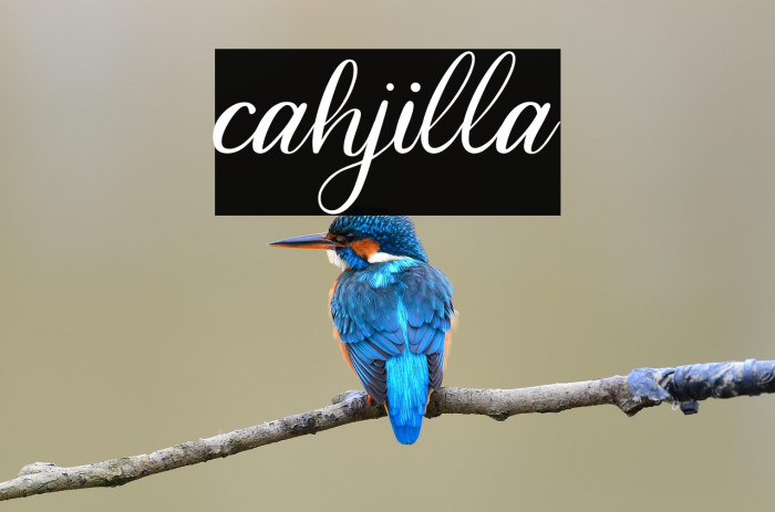 cahjilla Example 3