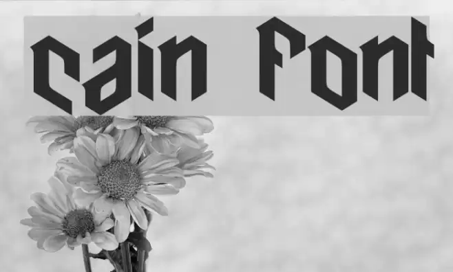 cain Font examples