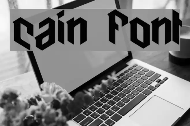 cain Font examples