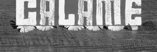 calame Font examples