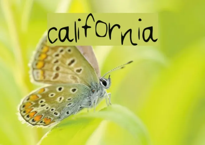 california Example 1