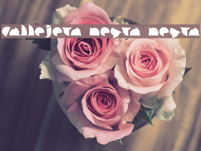 callejera negra negra Font examples
