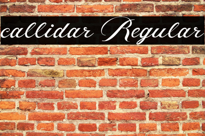 callidar Regular Example 1