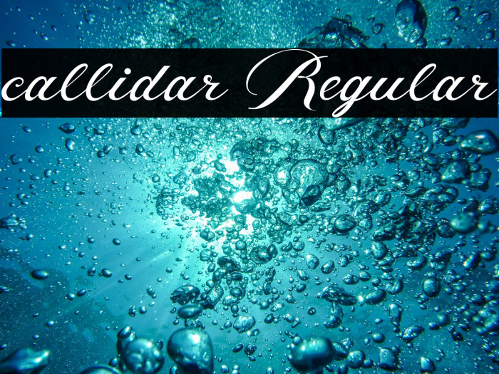 callidar Regular Example 2