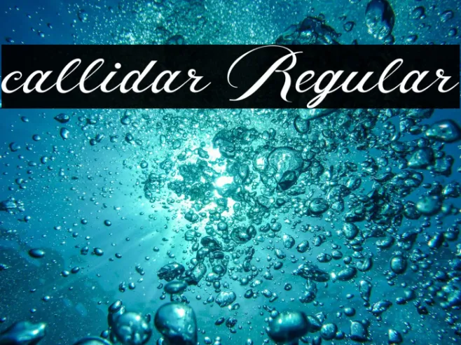 callidar Regular Example 2