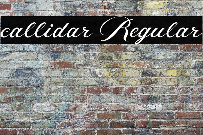 callidar Regular Example 3