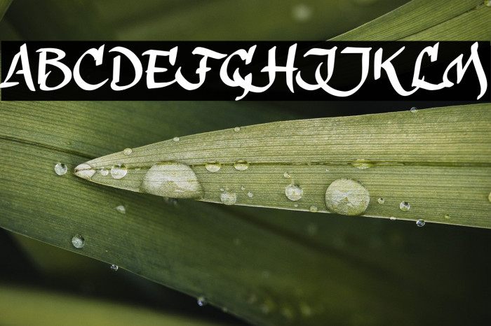 calligraPhillip_TRIAL Example 2