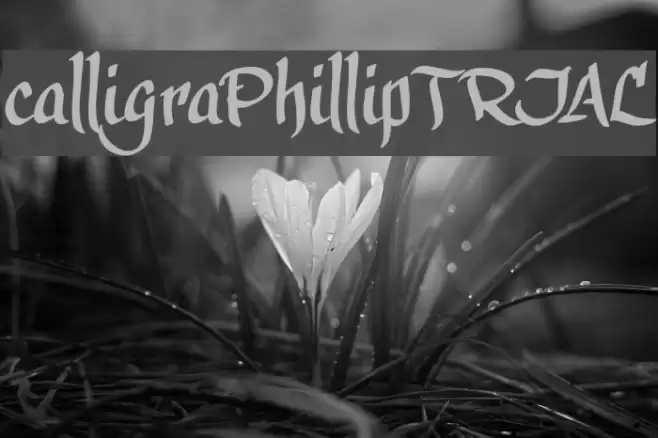 calligraPhillip_TRIAL Font examples