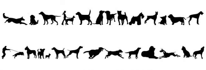 can dog tfb خط أحرف صغيرة
