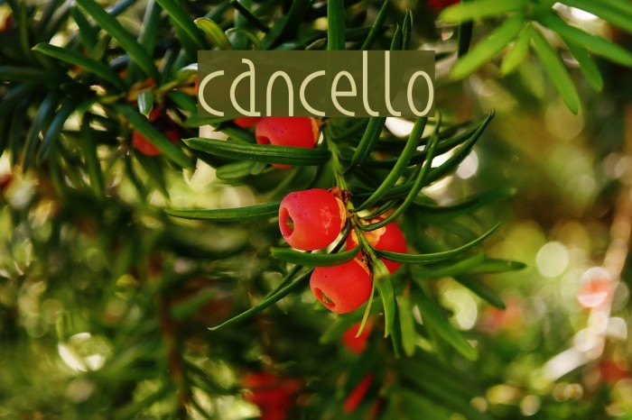 cancello Font examples