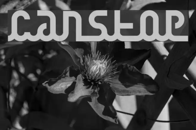 canstop Font examples