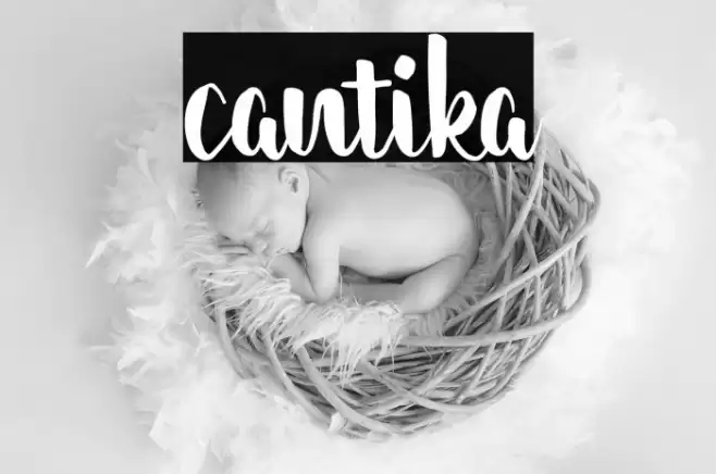 cantika Font examples