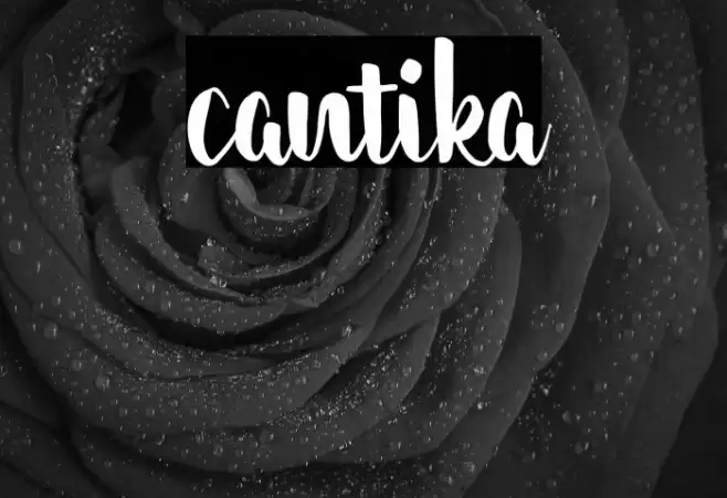 cantika Font examples