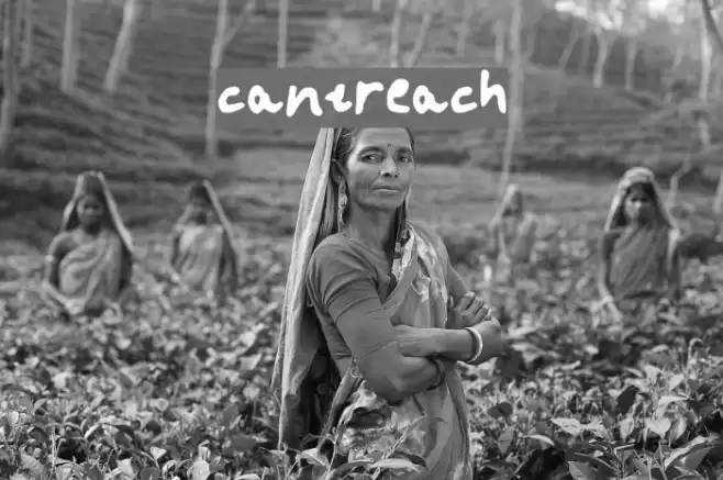 cantreach Font examples