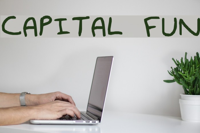 capital fun Font examples