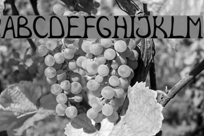 caracol Font examples