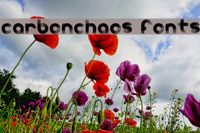 carbonchaos fonts Font examples