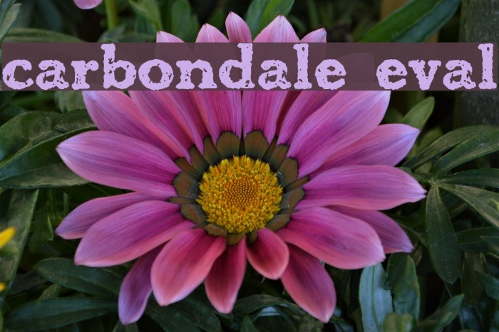 carbondale eval Font examples