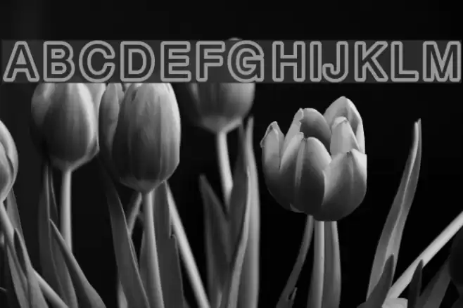 carbono Font examples