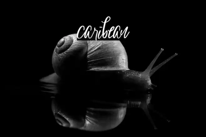 caribean Schriftart examples