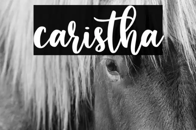 caristha Font examples