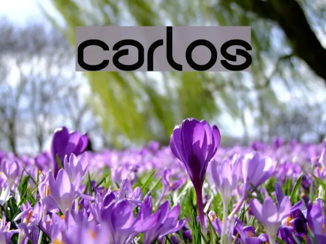 carlos Example 1