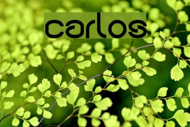 carlos Example 2