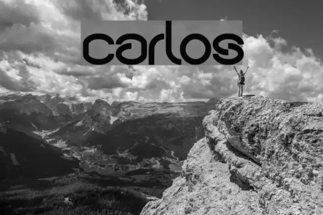 carlos Font examples