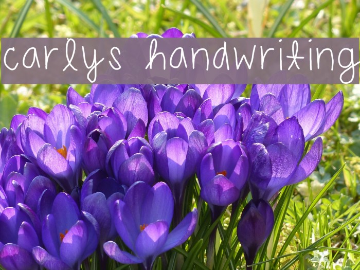 carlys handwriting Font examples