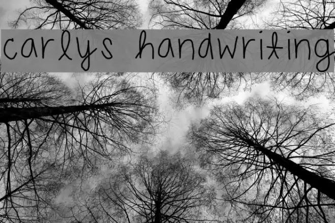 carlys handwriting Font examples