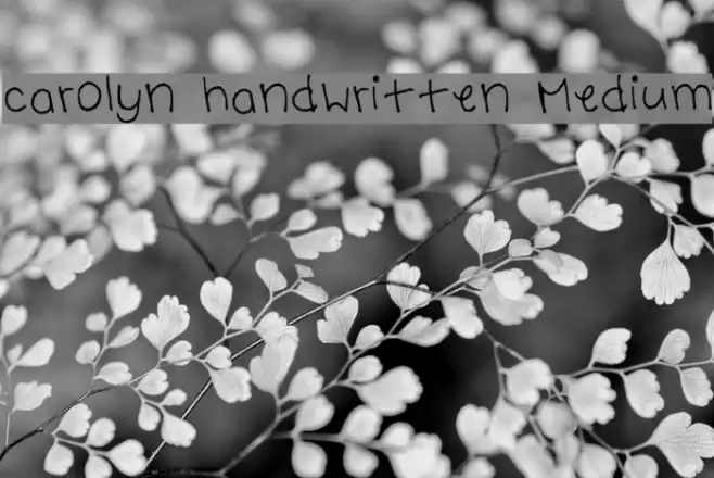 carolyn handwritten Medium Font examples