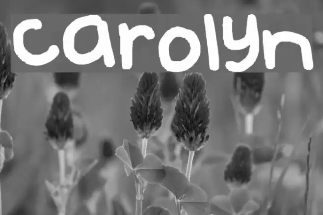 carolyn Font examples