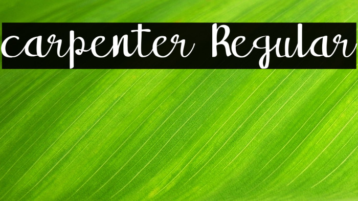 carpenter Regular Example 1