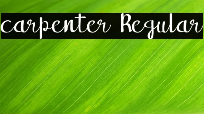 carpenter Regular Example 1
