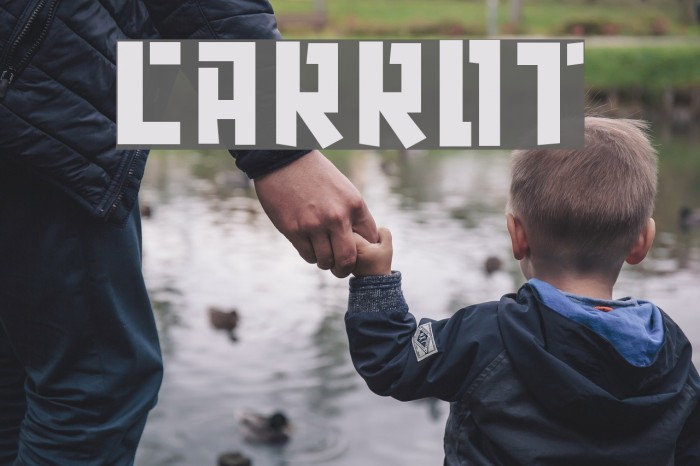carrot Font examples
