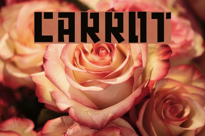 carrot Font examples