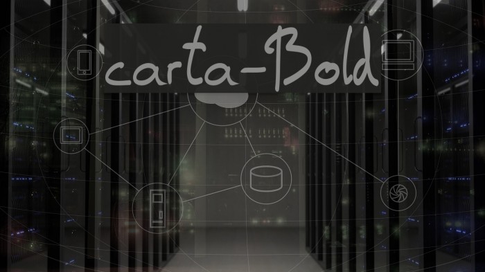 carta-Bold Example 1