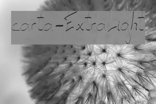 carta-ExtraLight Font examples