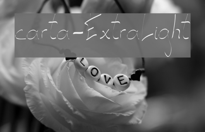 carta-ExtraLight Example 3