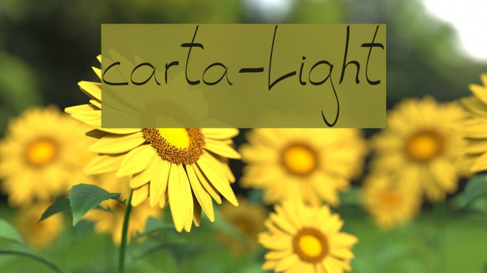 carta-Light Example 2