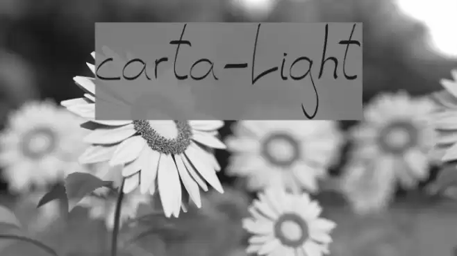 carta-Light Font examples
