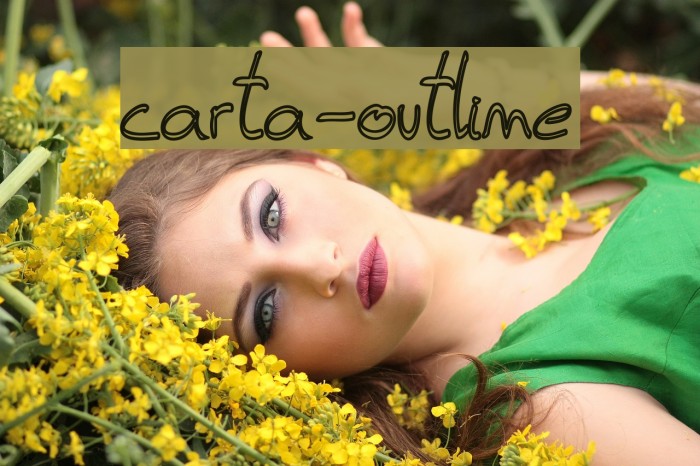 carta-outline Example 2