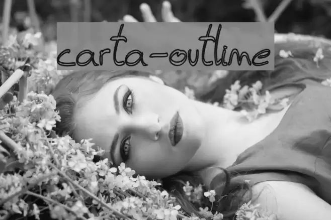 carta-outline Font examples