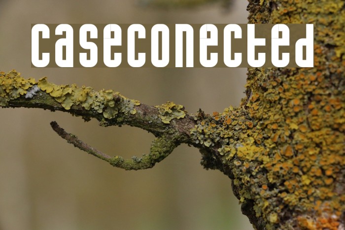 caseconected Font examples