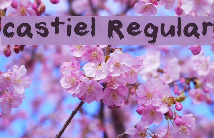 castiel Regular Font examples