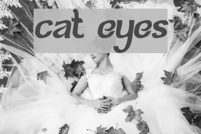 cat eyes Font examples